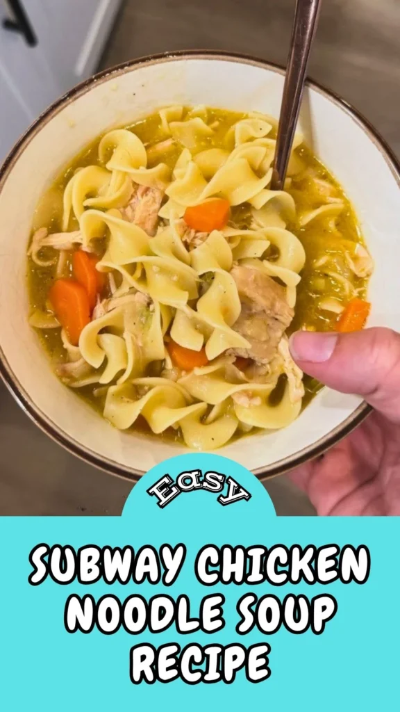 Easy & Tasty Subway Chicken Noodle Soup Recipe