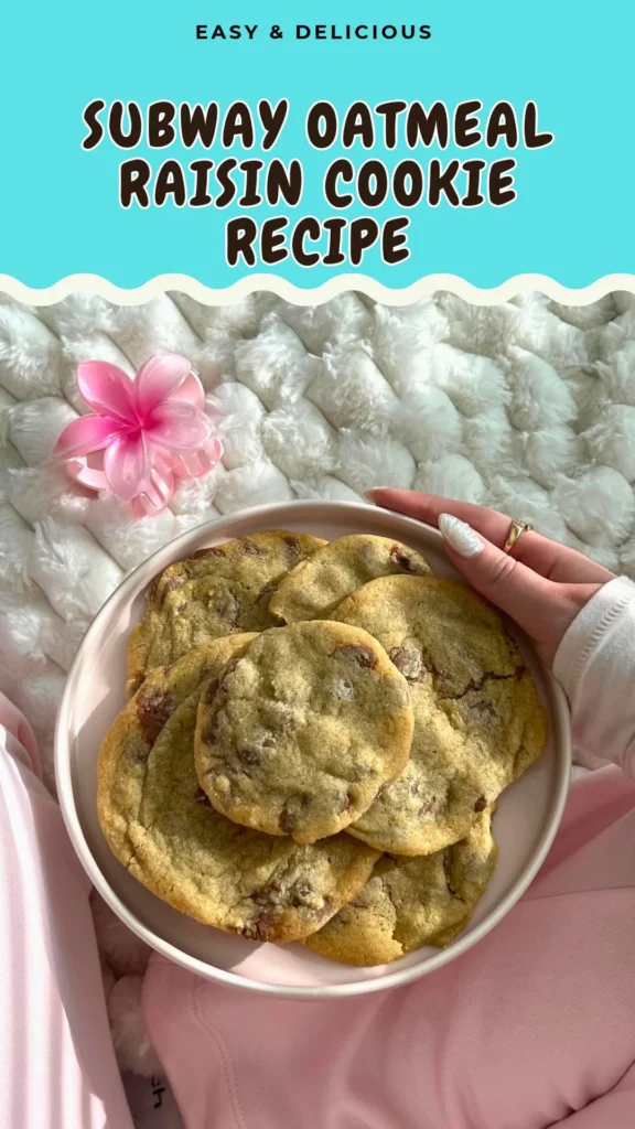 Rajjsin Subway Oatmeal Raisin Cookie Recipe - Ada Cooks
